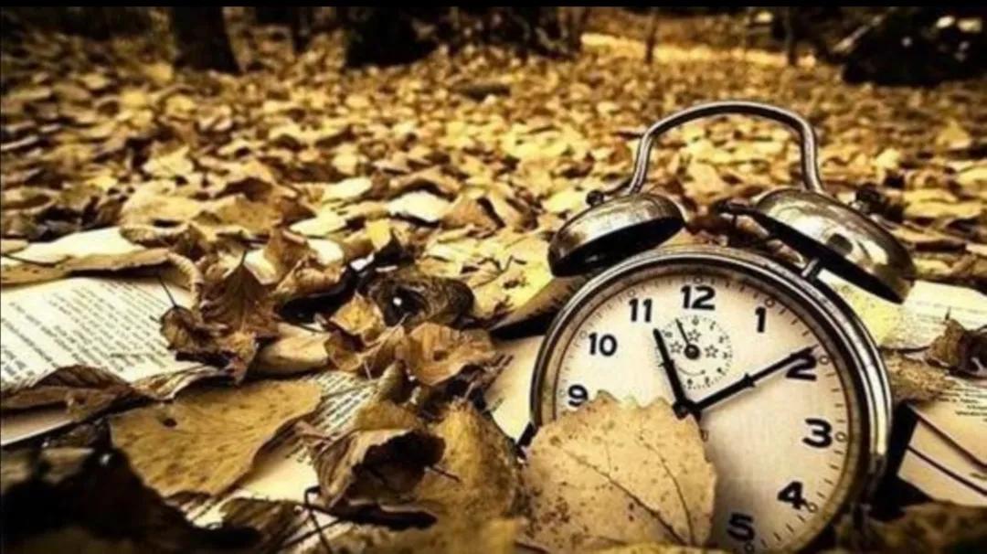 六本都市连载小说，主角职业各有不同，同样拥有精彩人生，书荒进