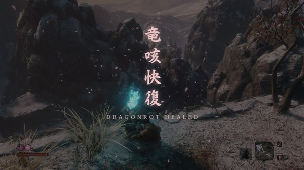 《只狼 影逝二度》系统介绍 游戏前期心得分享
