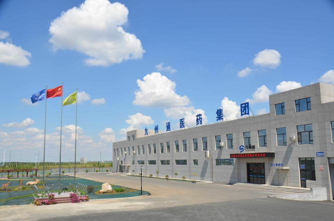 湖北最大民企九州通：仅成立21年年入1100亿，恒信汽车也不是对手
