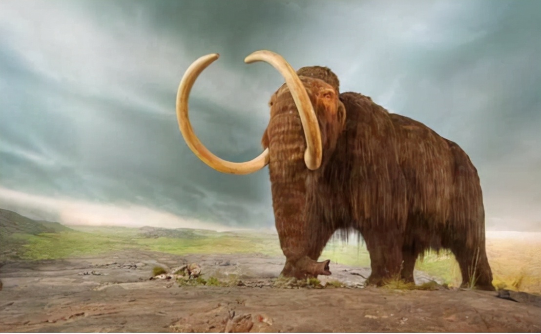史前生物归来!美科学家拟复活猛犸象,并在北极放生,是好是坏?