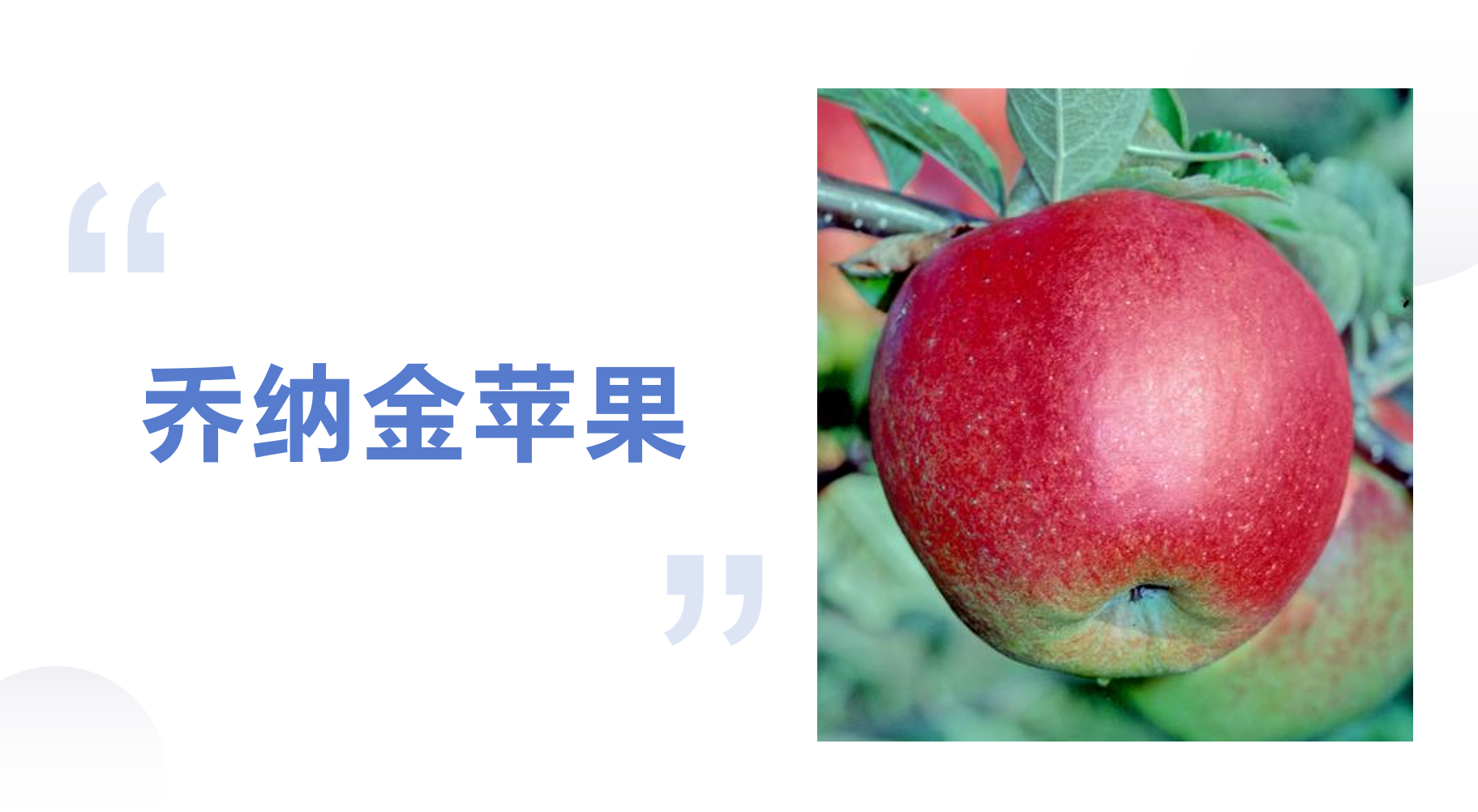 37个知名苹果品种，有的已被淘汰，有的老而弥坚，你认识几个？