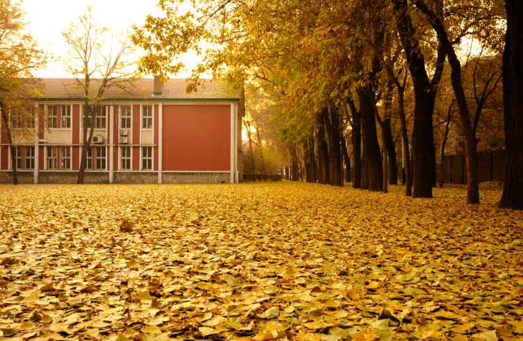 天津这所“专科院校”，毕业后能进国企！就业不输本科，性价比高