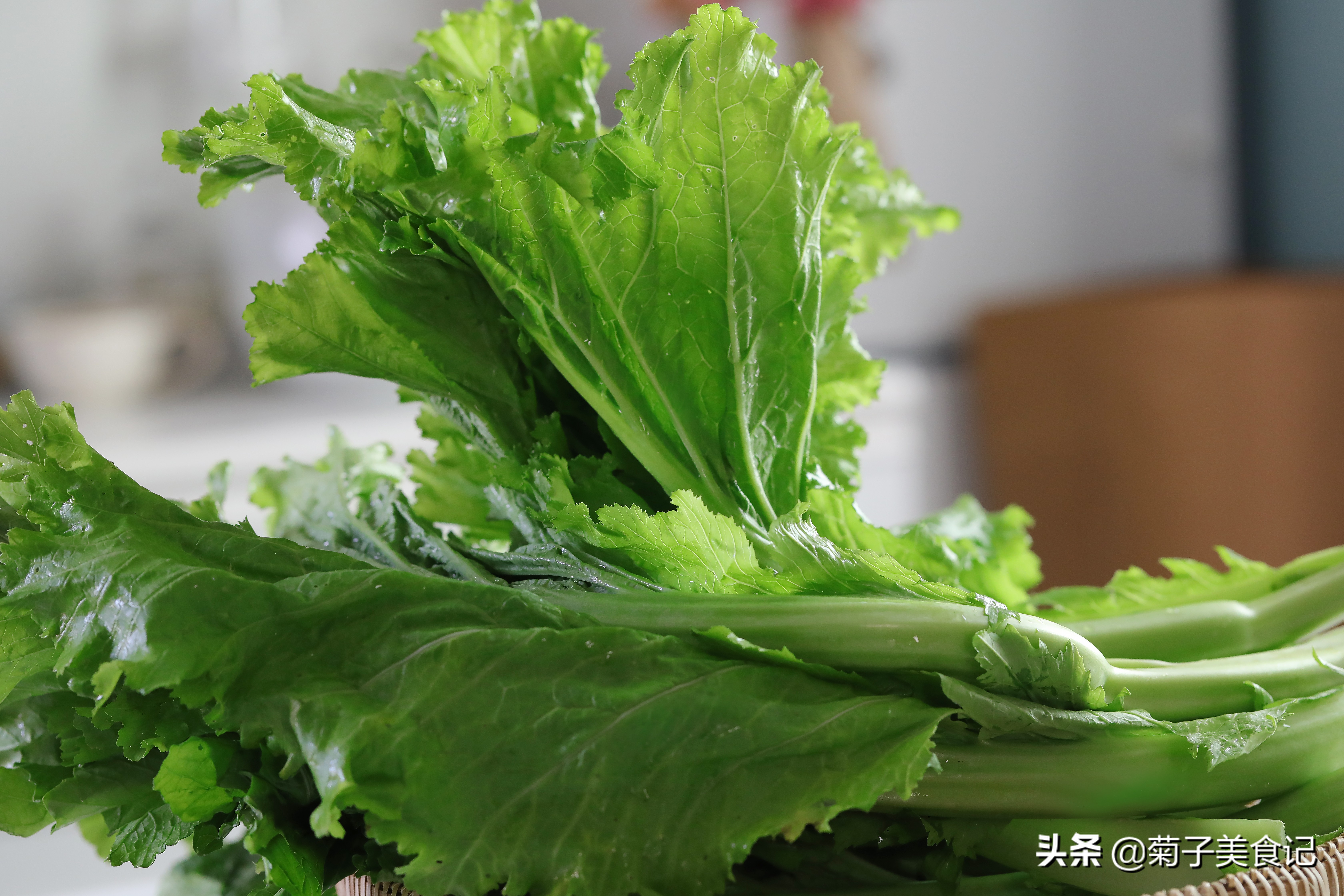芥菜飯,芥菜飯的做法