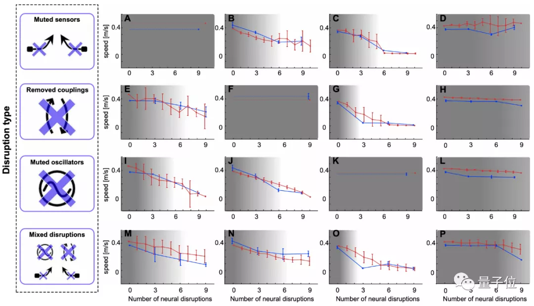 鳗鱼劈断后下半身还能运动，机器人：拿来吧你丨Science子刊封面