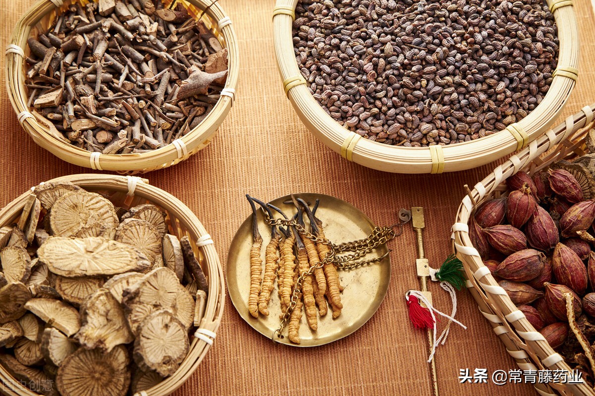 “胃痛别慌，这十款中成药助你消痛除疾”