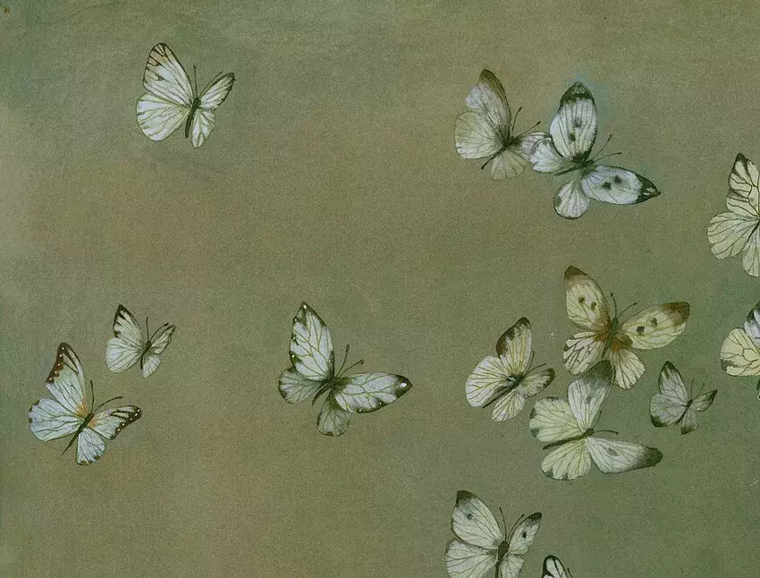 镜花水月，插画师用一支水彩笔画出一个梦想王国！