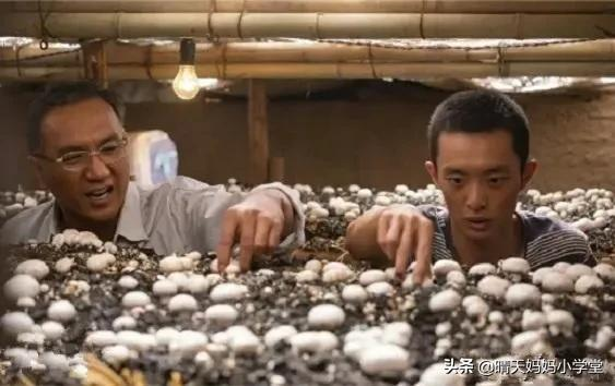 网红收入过亿，北大学霸卖猪肉，读书真的不值钱吗？