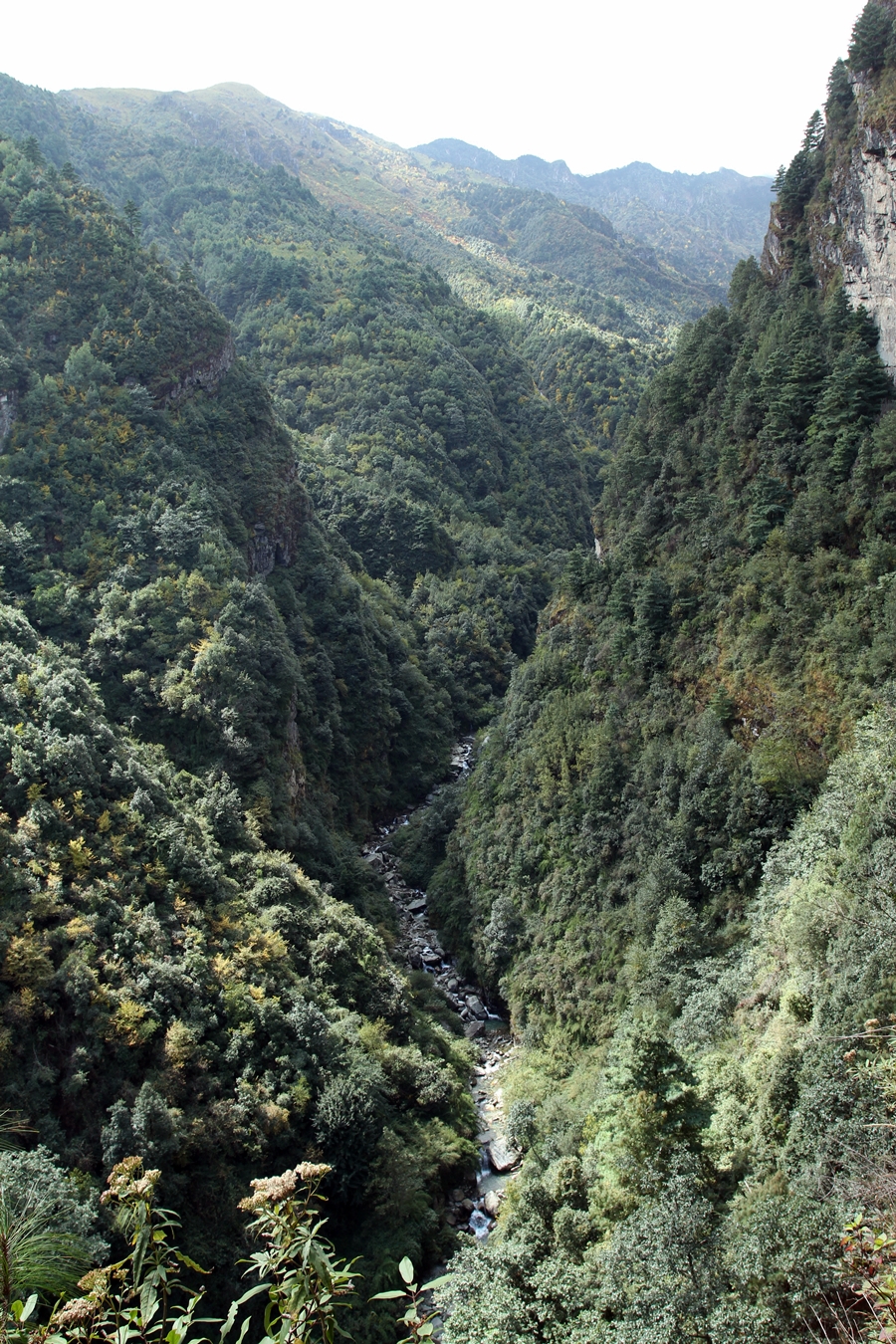 大理和丽江：云南旅游的金字招牌到底值不值得去