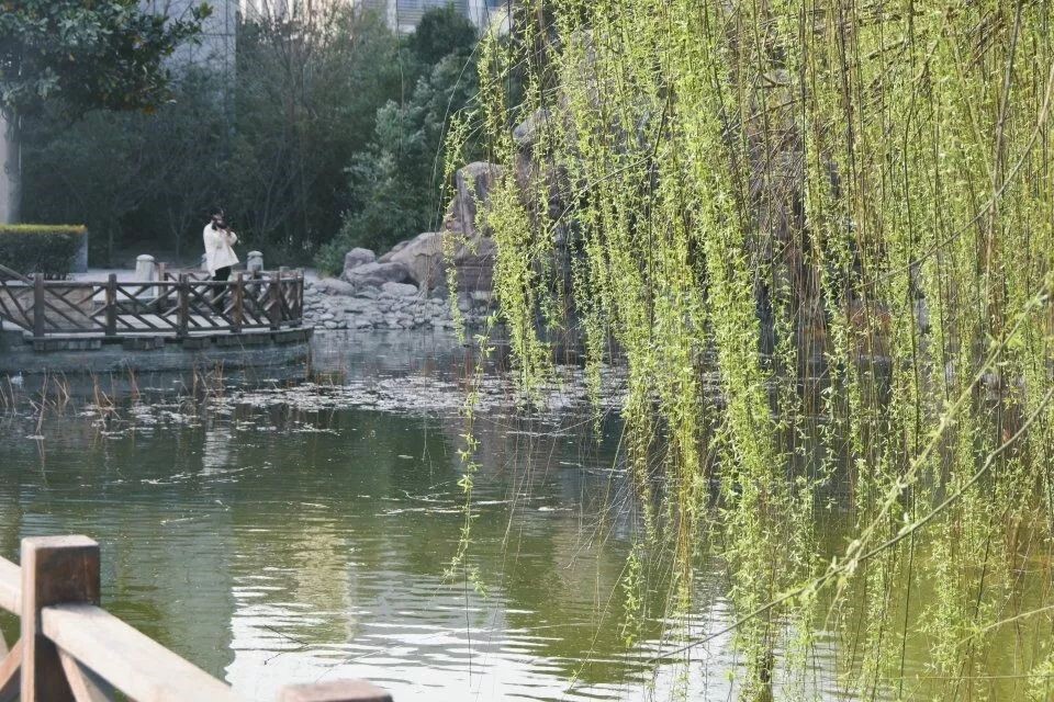 颜值实力俱佳！河南这所百年名校，处处洋溢着青春的气息！