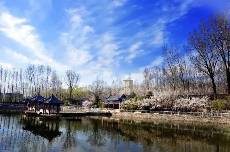 康福国际诚招中小学各科教师