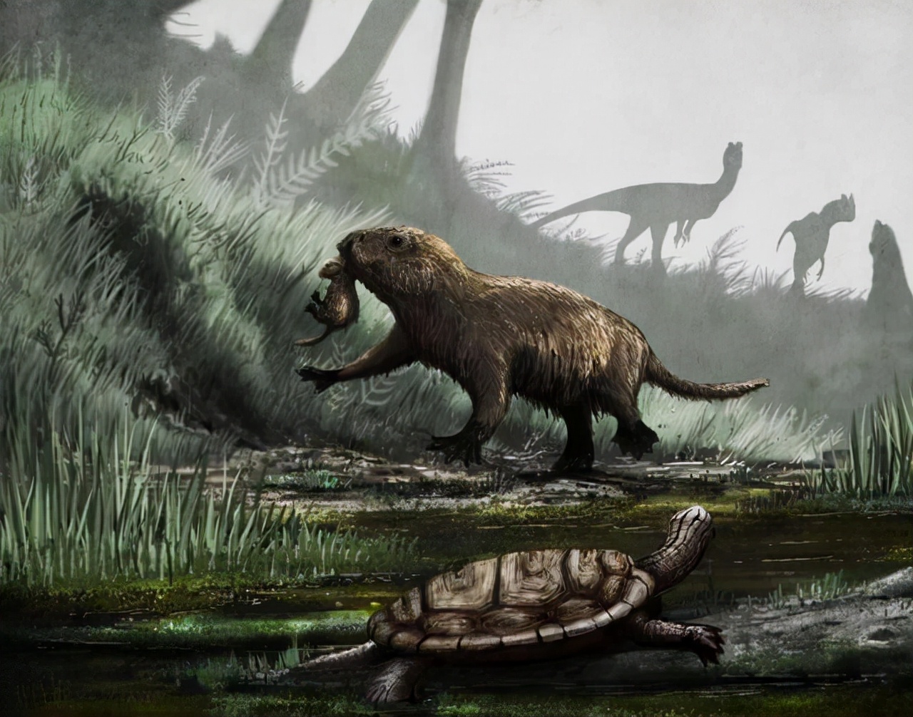 史前生物谜案:恐龙灭绝的原因,为什么如此难以破解?