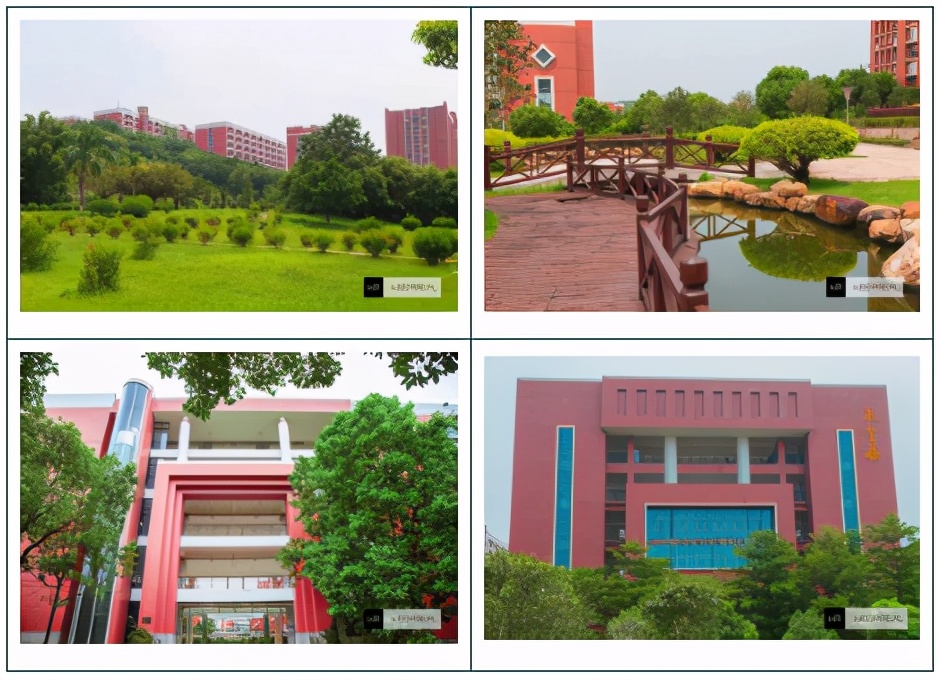 高职高考必看｜广州华商职业学院