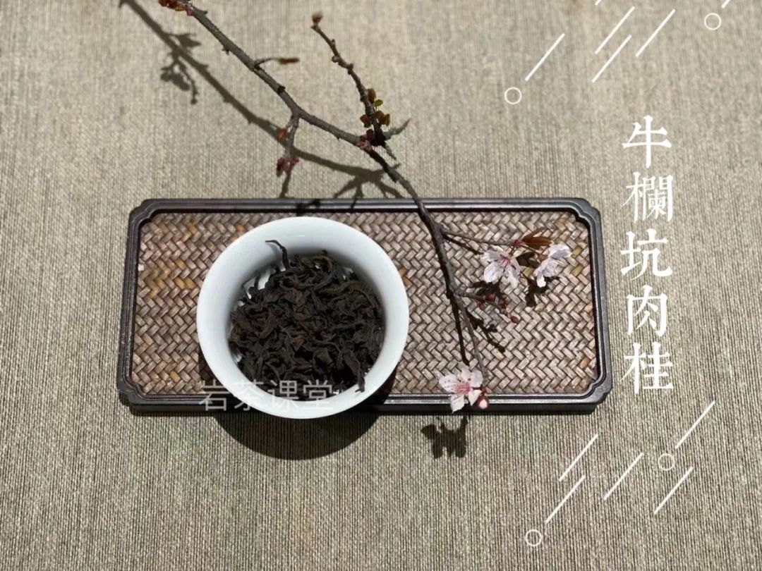 牛肉、马肉、猴肉、鬼肉，这么多正岩肉桂，哪个山场的味道最好？