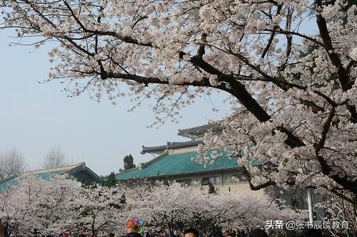 武汉大学，2020年武汉大学高考分数线预测！家长：武大实力就是强