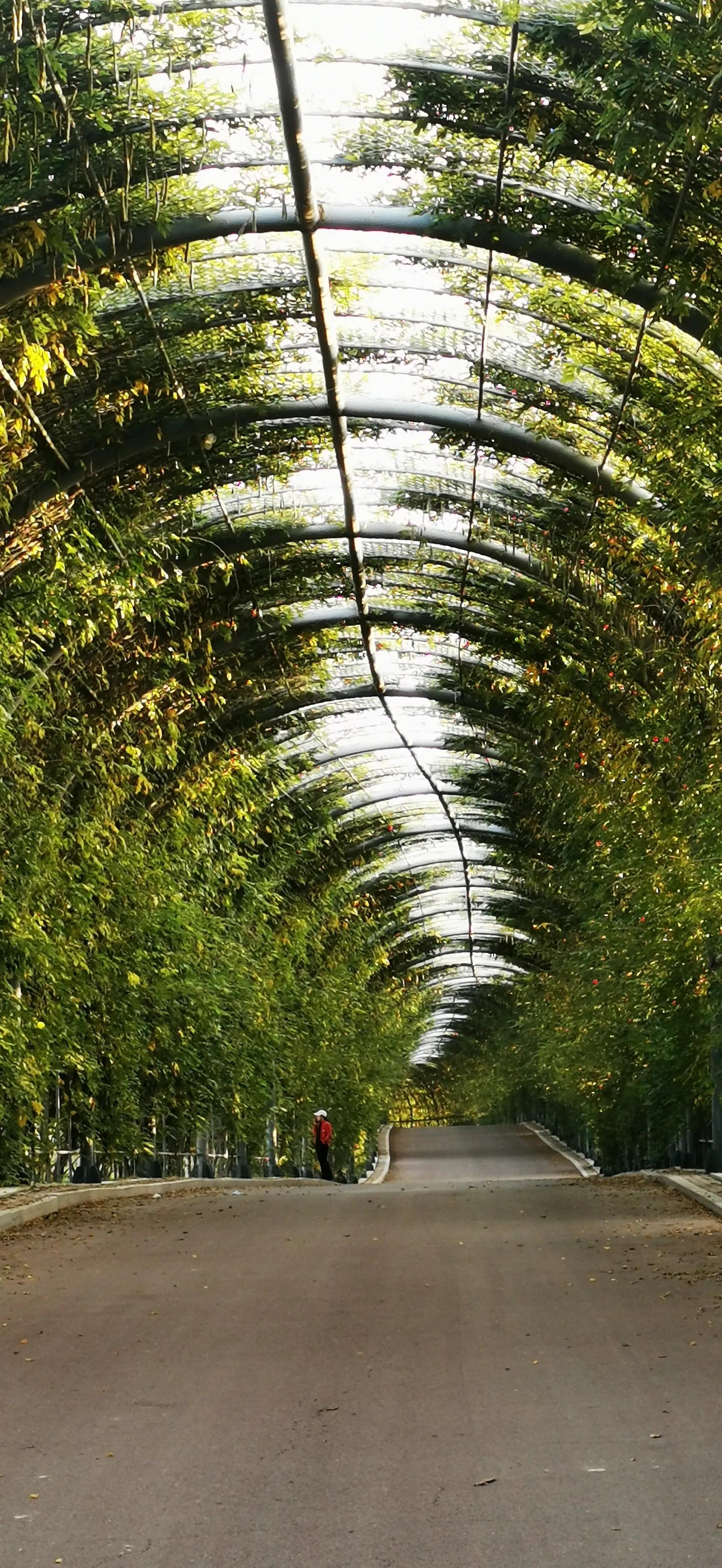 手拍世界（手机摄影平台）-群员作品集（总第733期）