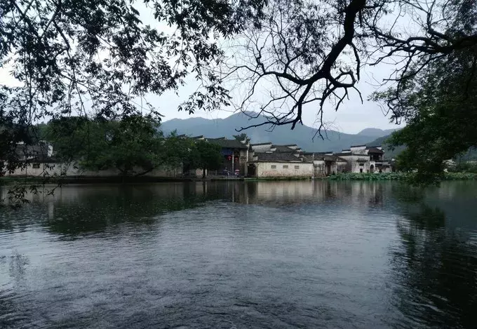 寻一处静谧，赶一场春雨