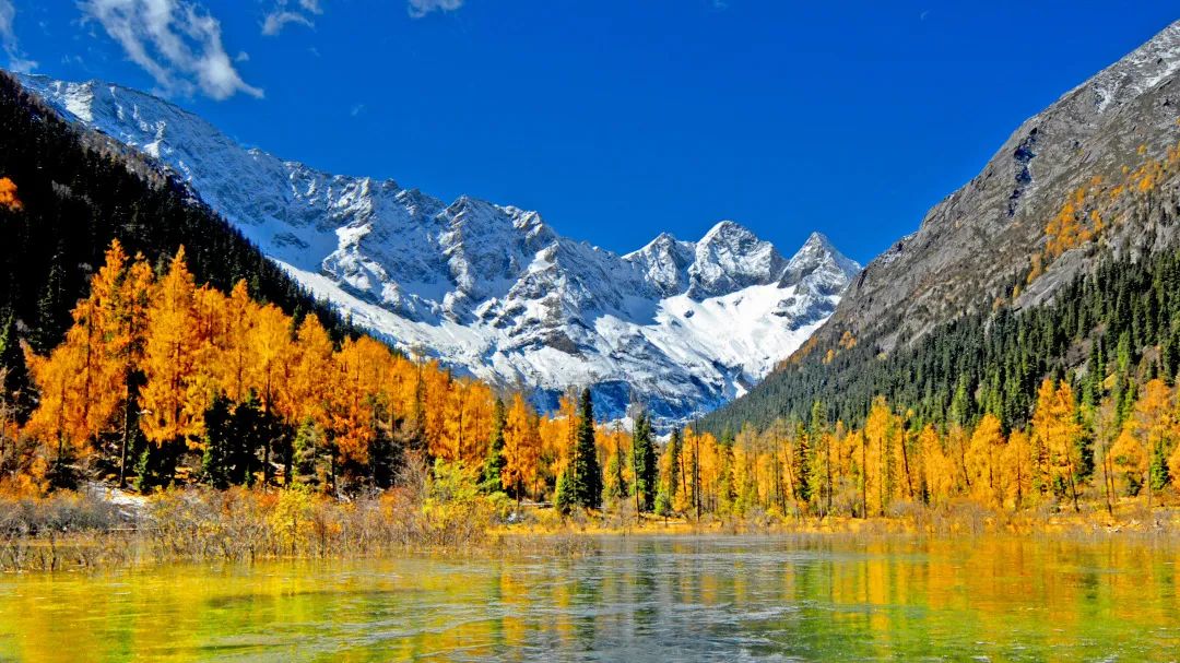 成都周边赏彩林,爬雪山,周末达古冰川两日游,享视觉盛宴