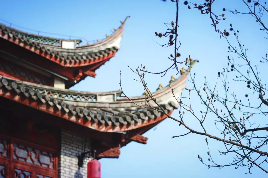“酒鬼”李清照，十六首词全醉酒