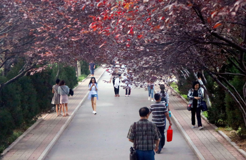 这3所大学将“升级”，由二本转为一本，学生直言幸福说来就来