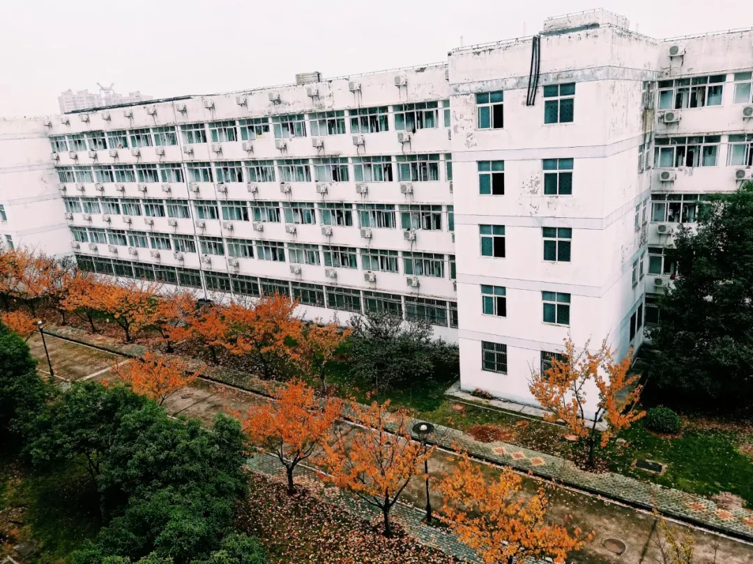 占地2000余亩，投资8000万建新宿舍，湖北这所大学“太豪华”