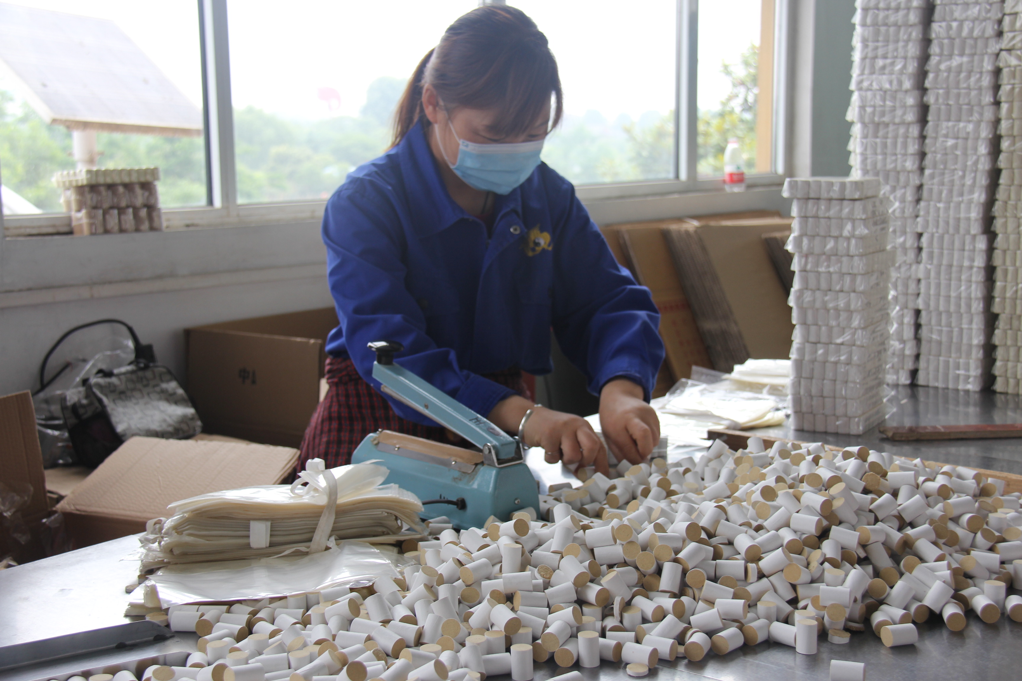 南阳市卧龙区艾草产业——一片艾草的春天故事