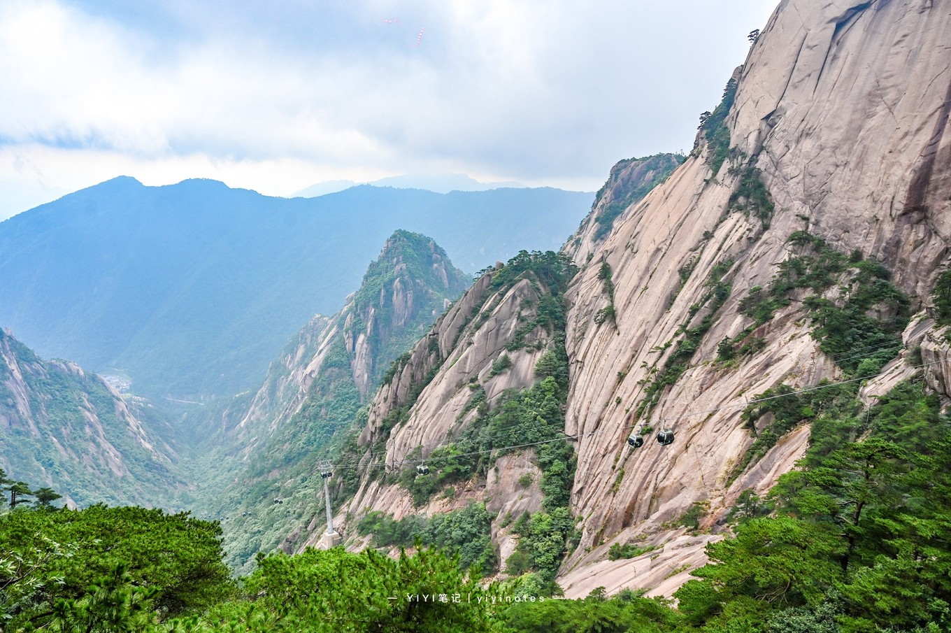 黄山迎客松是棵假树(黄山迎客松是棵假树吗)