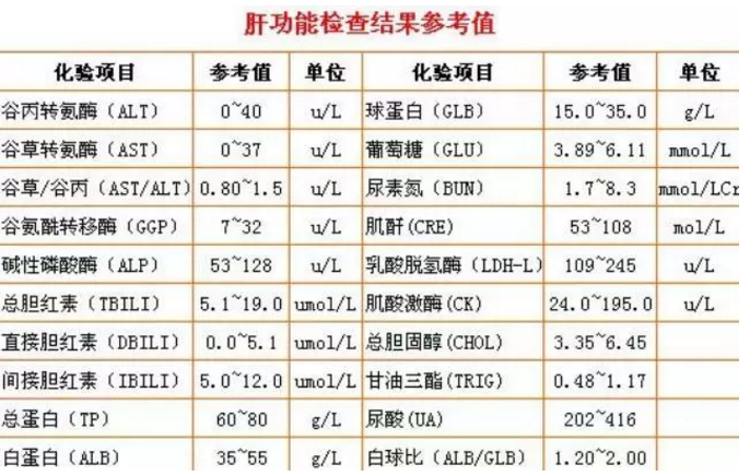 乙肝“两对半”检查，就是肝功能检查吗？明确告诉：不是！