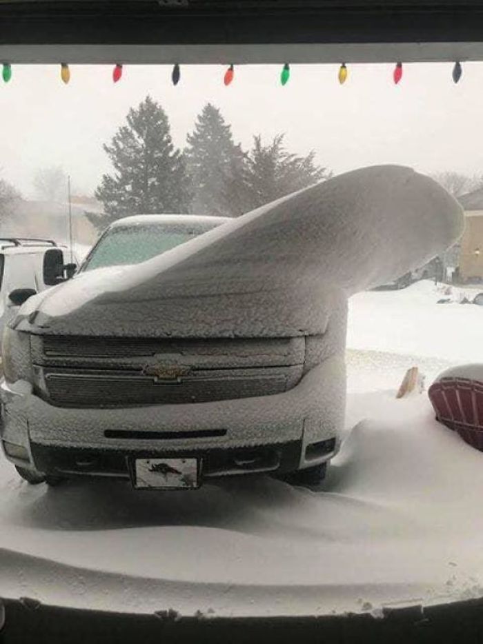 45张罕见的雪景照片：雪后的白菜地密集恐惧症慎入