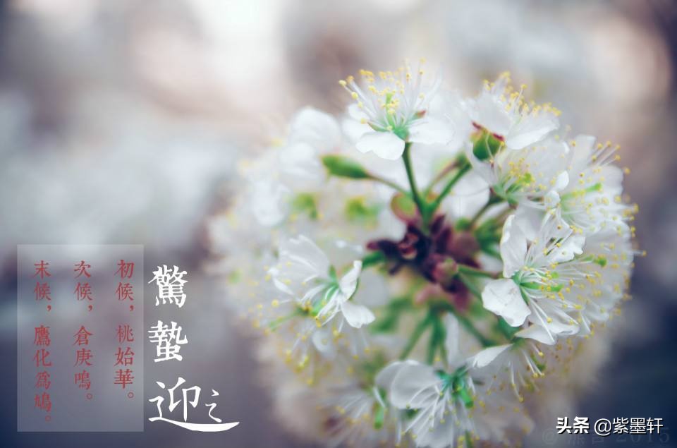 五律·惊蛰一声雷，春寒料峭裁。