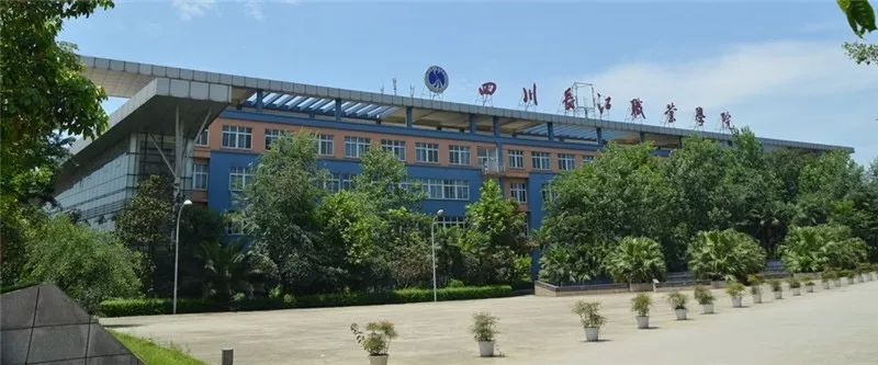 理工院校也有艺术类，盘点四川开设“文化艺术”类的单招院校