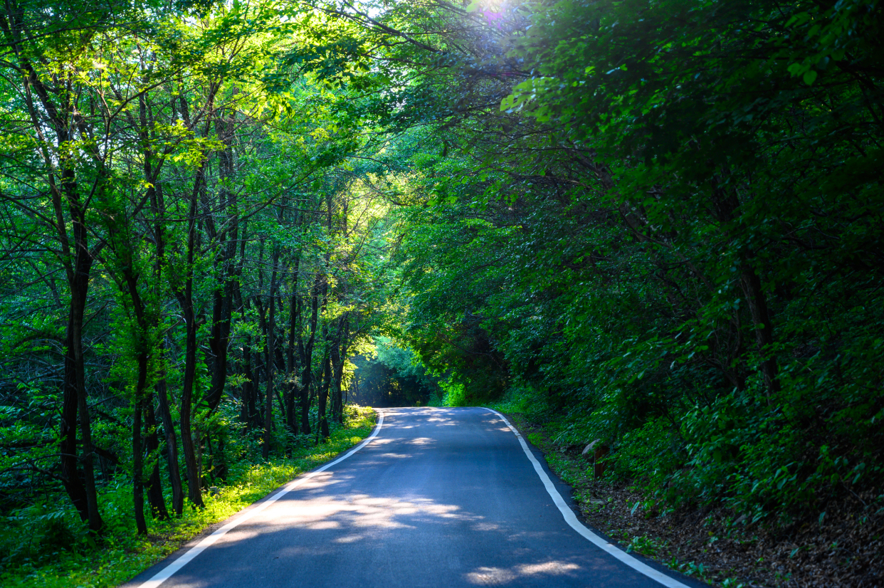 辽宁抚顺旅游必打卡景点,被誉为"北方温带雨林",夏日避暑佳地