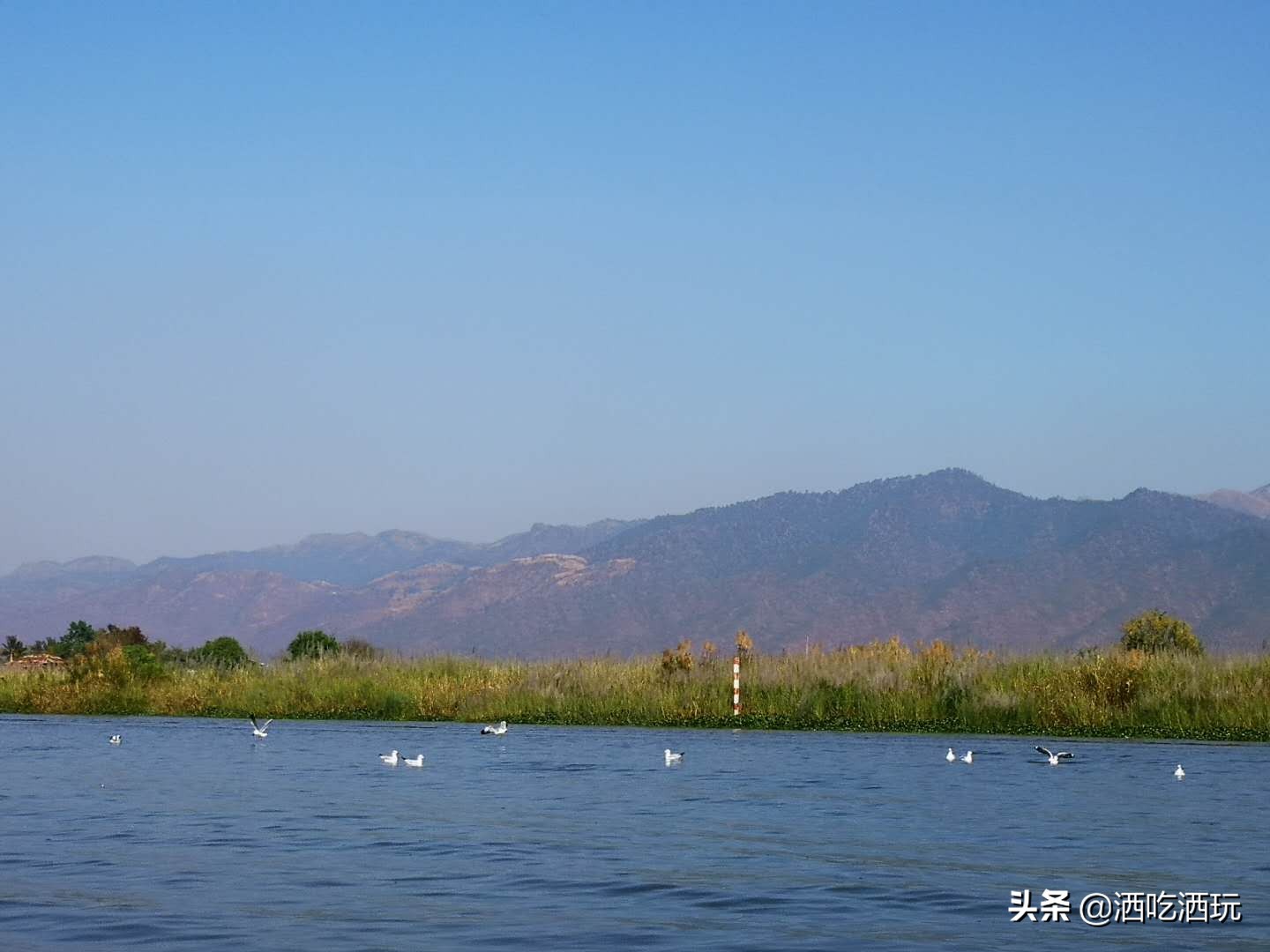 莱茵湖深度游，看渔夫水上舞蹈，包船10小时只要100元！