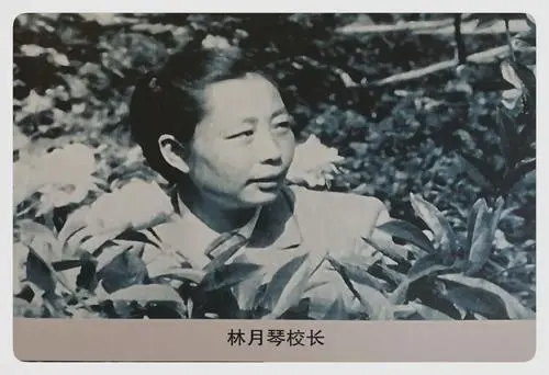 1955年，四位元帅夫人被授军衔，分别是哪四人？其他元帅夫人呢？