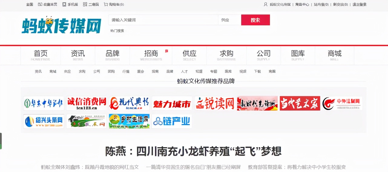 蚂蚁全媒体中心刘鑫炜：企业网站推广的方法有哪些，附推广方案