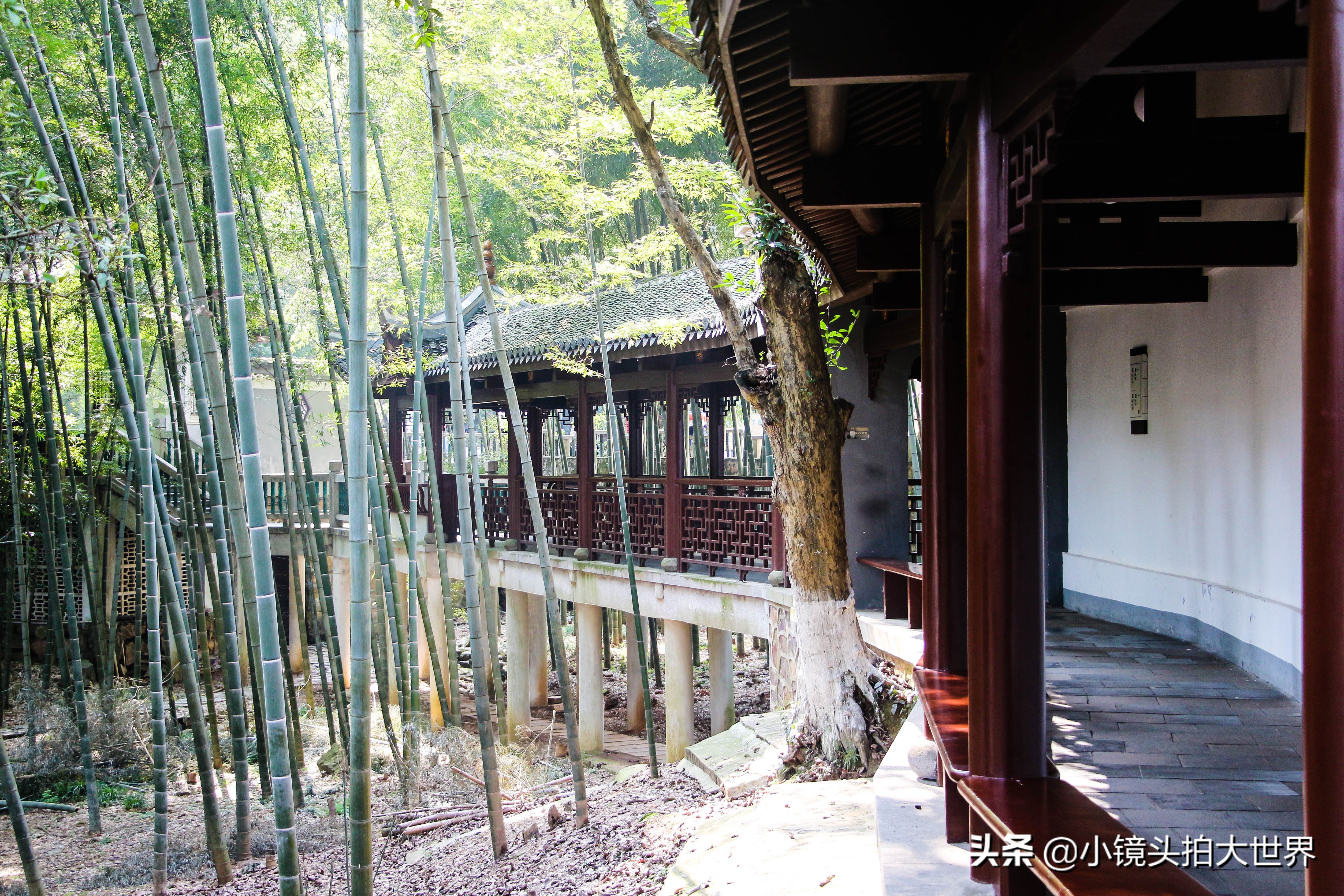 「湖南长沙」岳麓书院