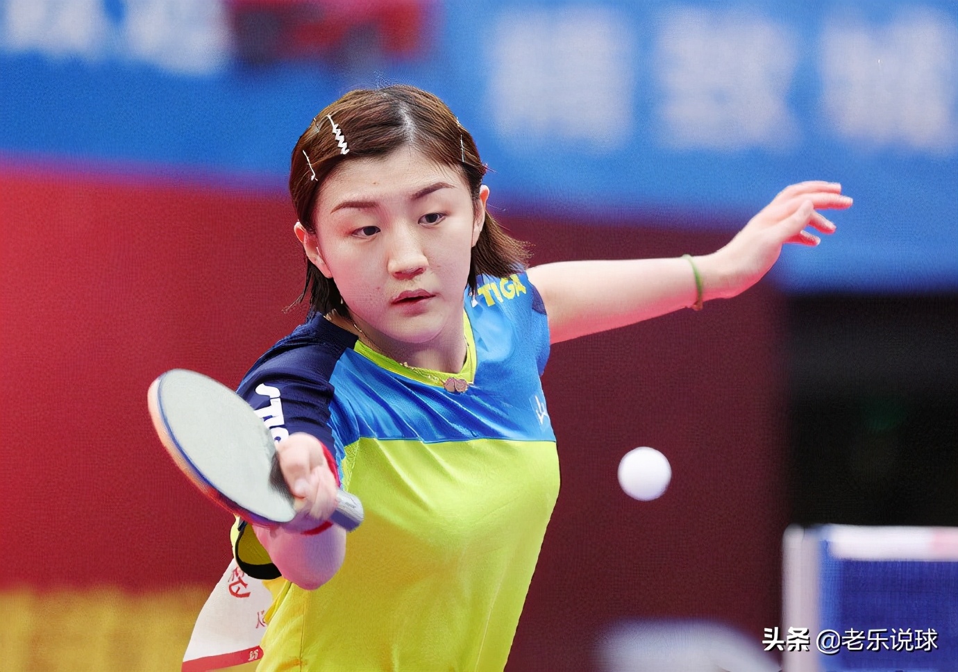 球决赛(乒乓球年终总决赛赛程速览,马龙樊振东领衔,国乒8名球员出战)