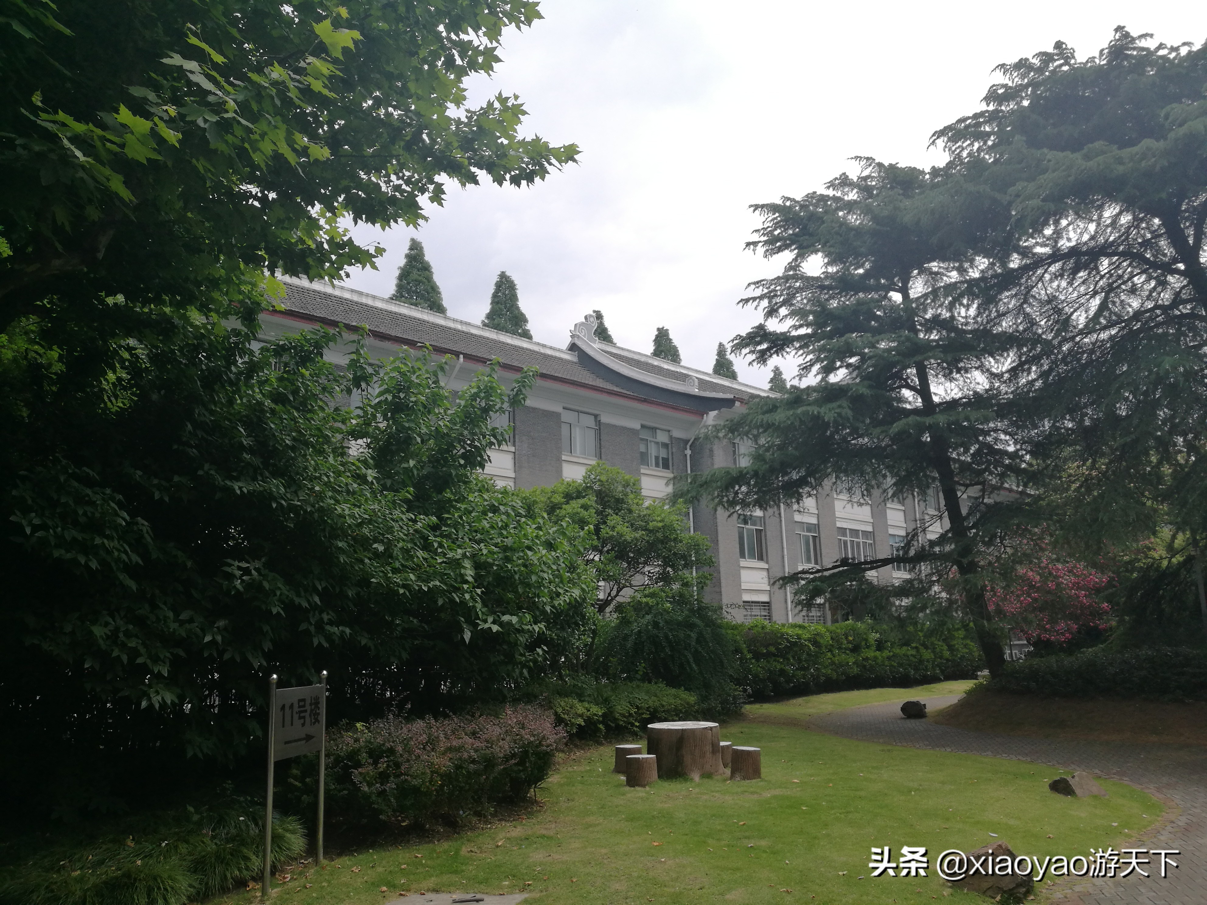 最美大学之旅——复旦大学