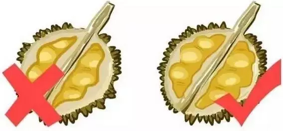 李子是凉性还是热性（最全水果手册赶紧收藏）