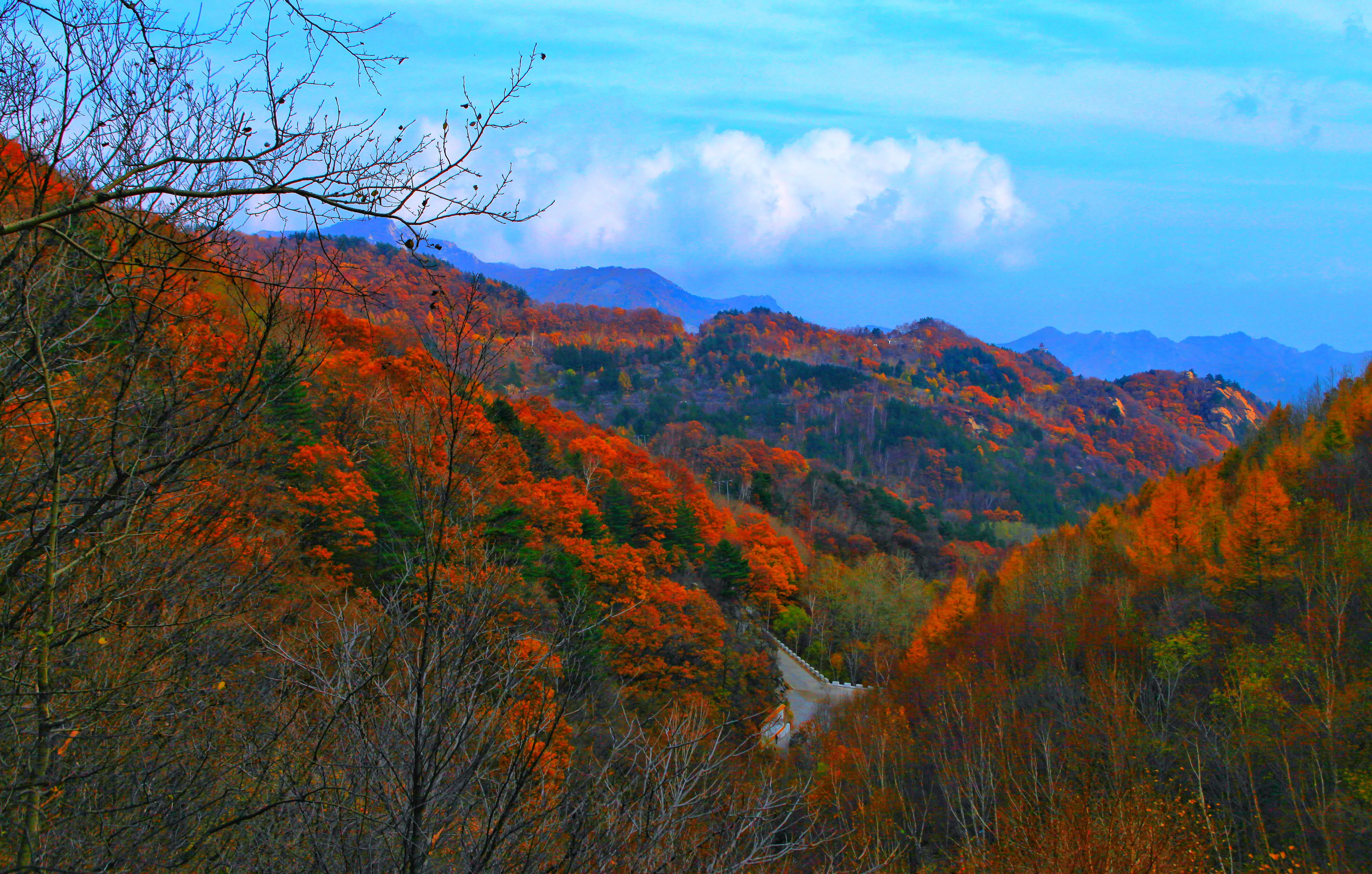 距北京一個多小時車程的霧靈山，這里的秋色足可以驚艷到你
