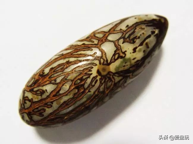 这22种菩提,盘玩后特漂亮,你都玩过几种?