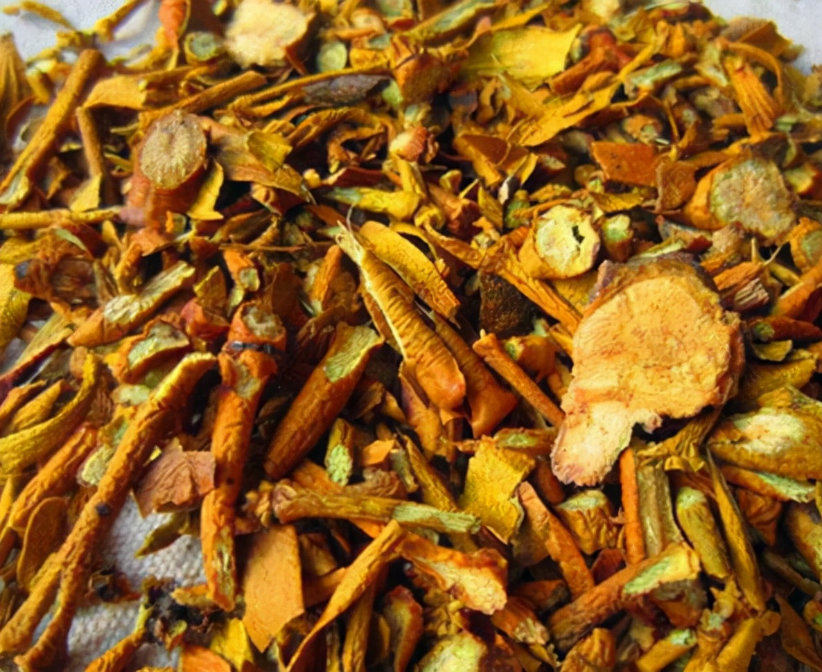 树上一种"寄生草",人称"桑寄生",是名贵中草药,野外难寻