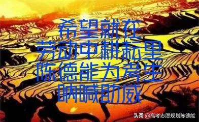 中医药大学（学院）2020年云南省二本批次招录统计