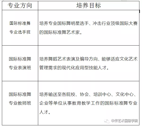 2020年中传艺术国际学院招生公告