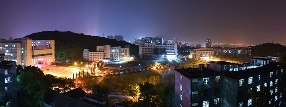 美术音乐与舞蹈艺考政策解读，湖北师范大学2021年录取分数线分析