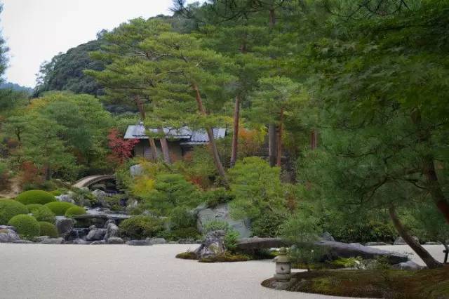 日式园林植物配置浅析