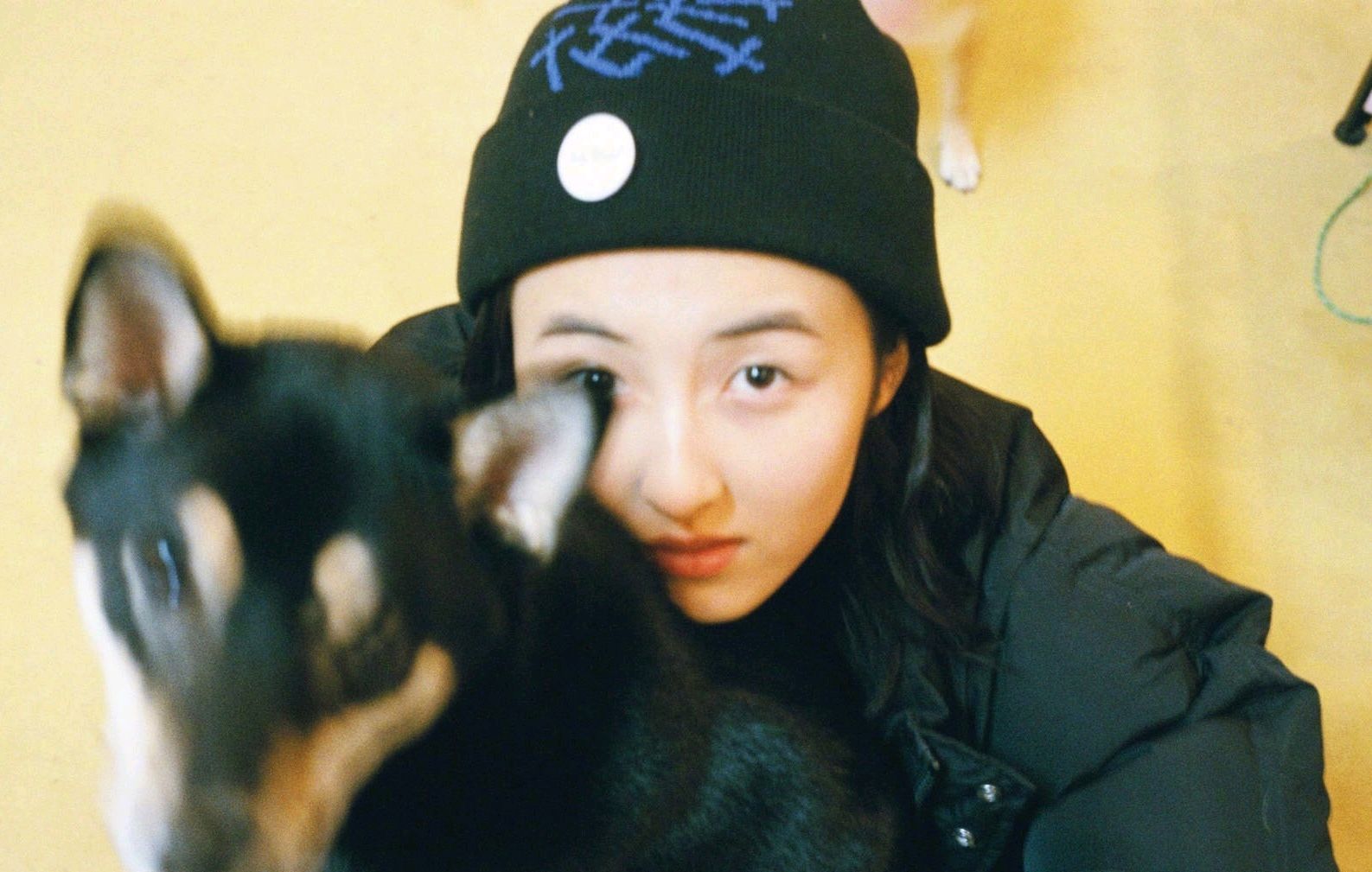 张子枫艺考成绩公布，河南省第一名，网友：为啥在高考大省河南考