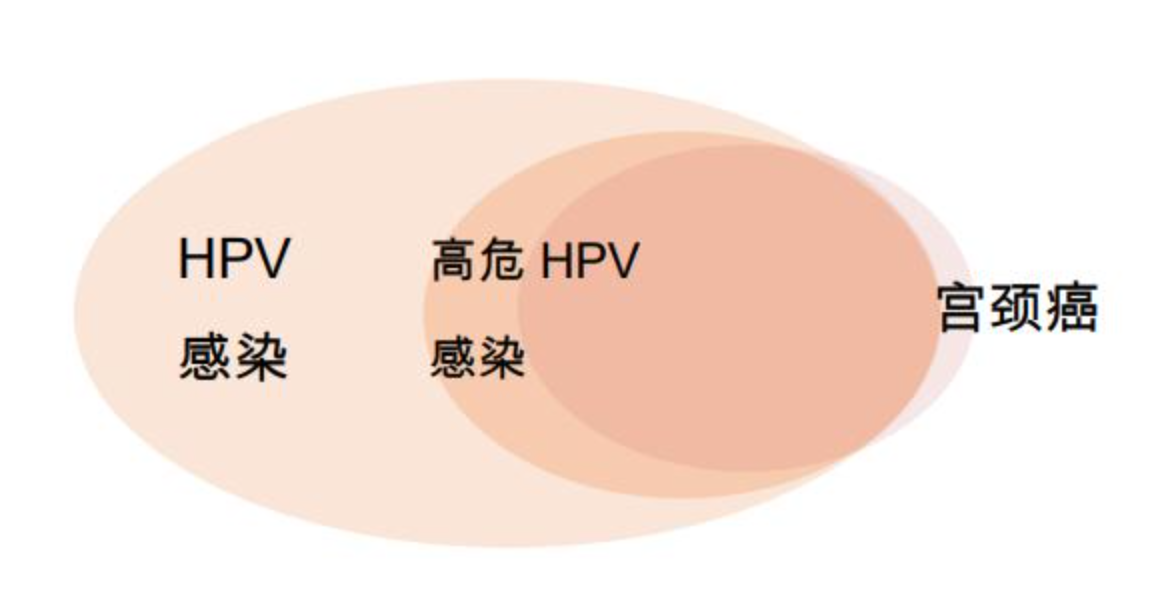 另外,專家說:男性過長包皮的環切