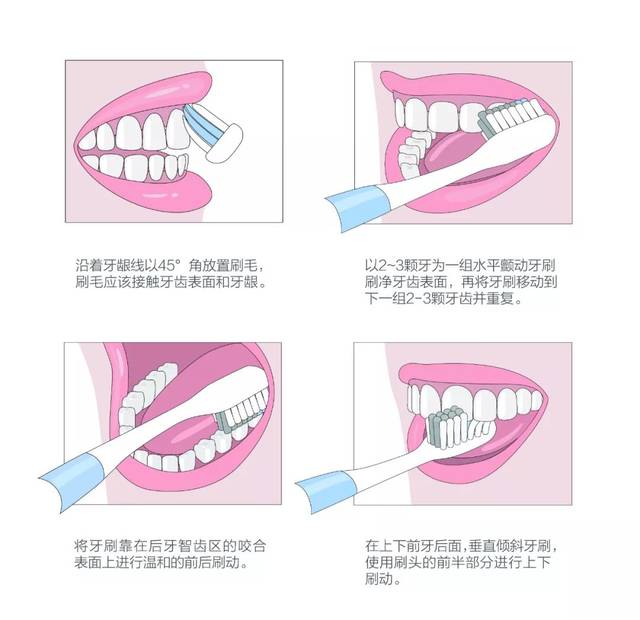 我来告诉你牙齿应该怎么刷