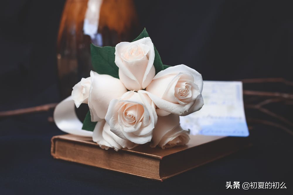 古风伤感句子 | 几段唏嘘、几世悲欢，可笑，我命由我不由天