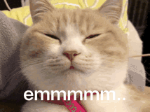 这个清北排名不断靠前的榜单，它的全名你一定不知道怎么念